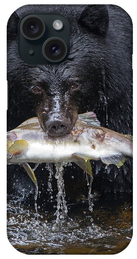 Black Bear iPhone Case featuring the photograph Black Bear with Salmon by Max Waugh