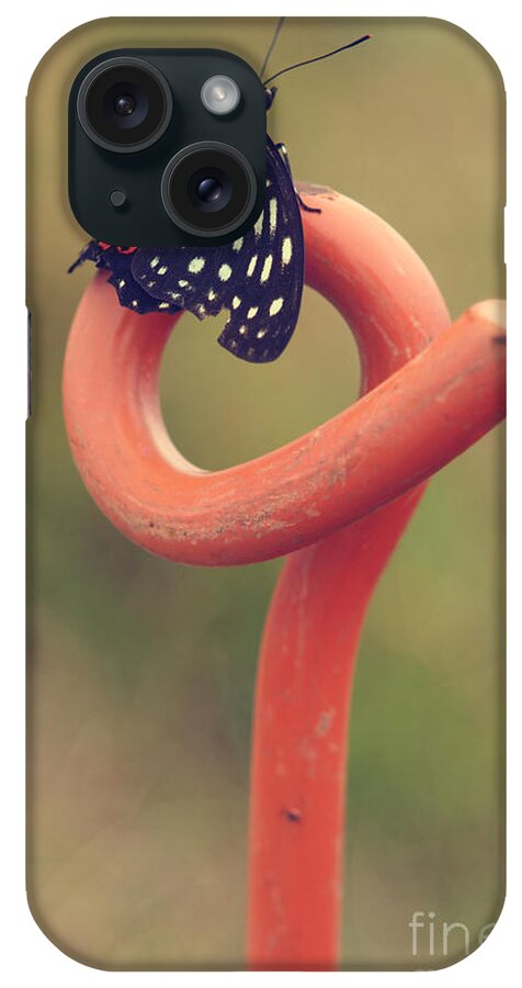 Butterfly iPhone Case featuring the photograph Black Butterfly with White and Orange Markings on Metal Pole by Beverly Claire Kaiya