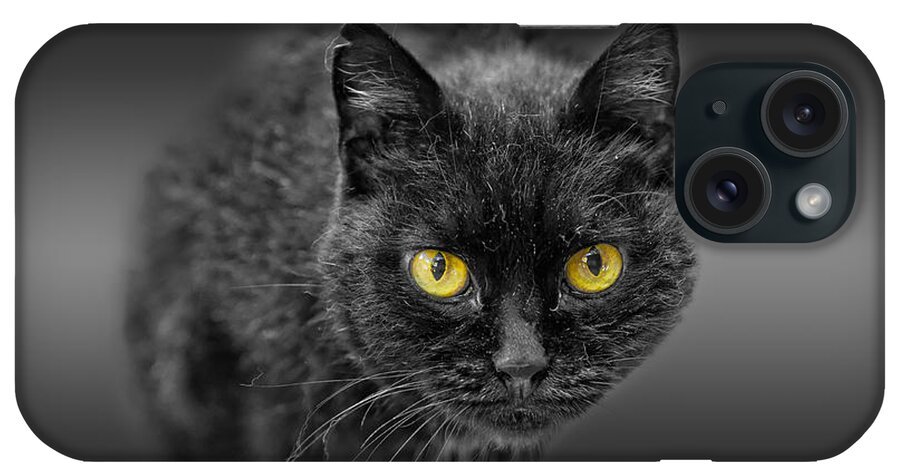 Animal iPhone Case featuring the photograph Black Cat by Peter Lakomy