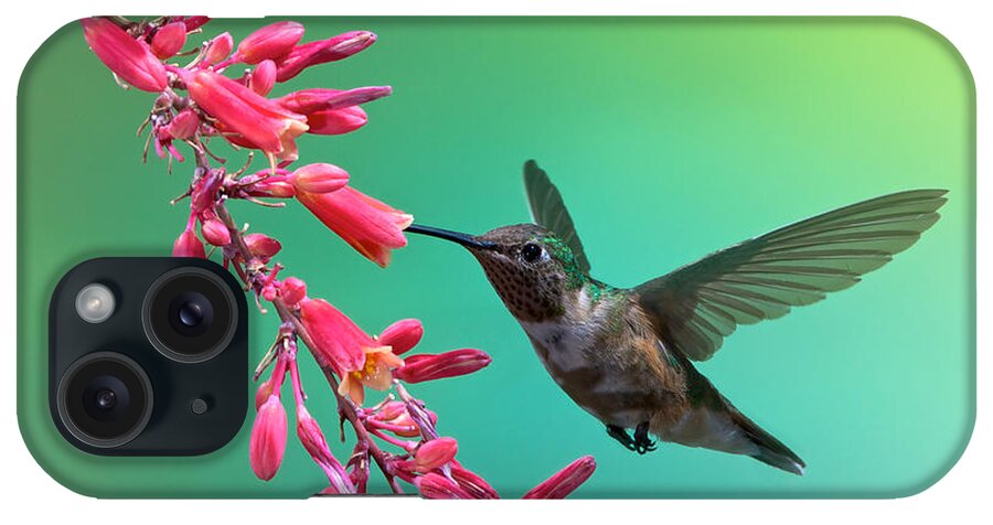 Archilochus Alexandri iPhone Case featuring the photograph Black Chinned Hummingbird by Mary Lee Dereske