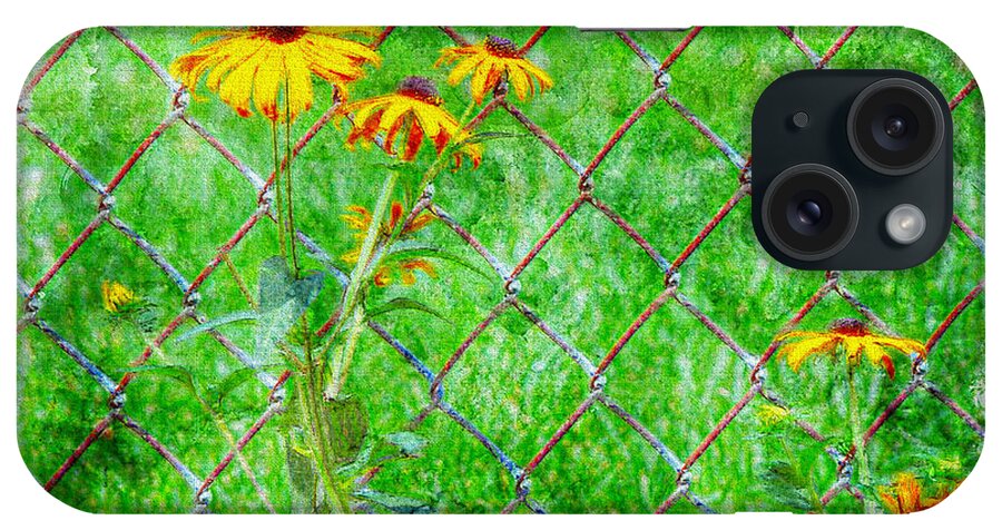Black Eyed Susan iPhone Case featuring the photograph Black Eyed Susan Ver - 2 by Larry Mulvehill