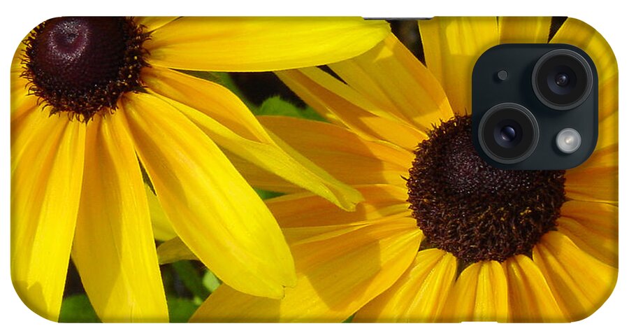 Black Eyed Susan iPhone Case featuring the photograph Black-eyed Susans Close Up by Suzanne Gaff