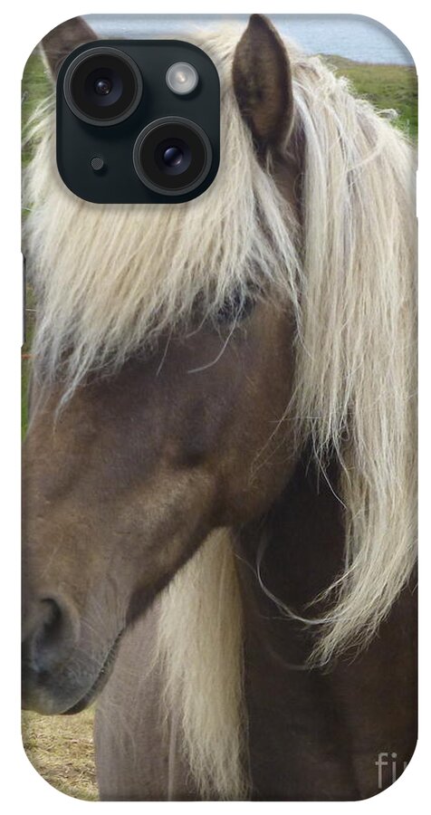 Horse iPhone Case featuring the photograph Black Icelandic Horse II by Maxine Kamin