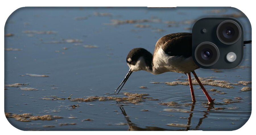 Wading Birds iPhone Case featuring the photograph Black-necked Stilt by Grant Washburn