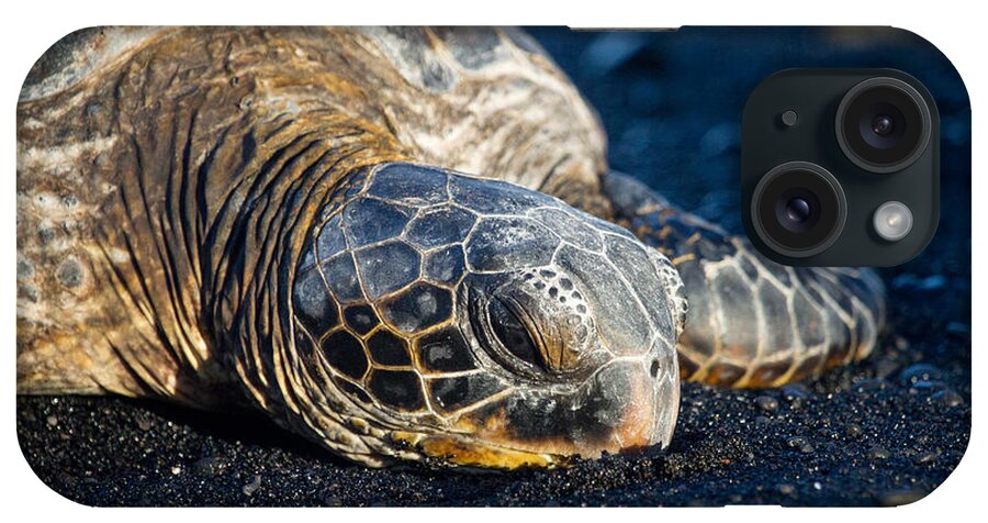 Sea Turtles iPhone Case featuring the photograph Black Sand Nap by Denise Bird