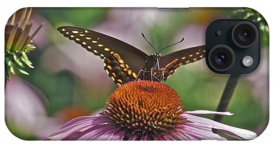 Cone Flower iPhone Case featuring the photograph Black Swallowtail on Cone Flower by Michael Peychich