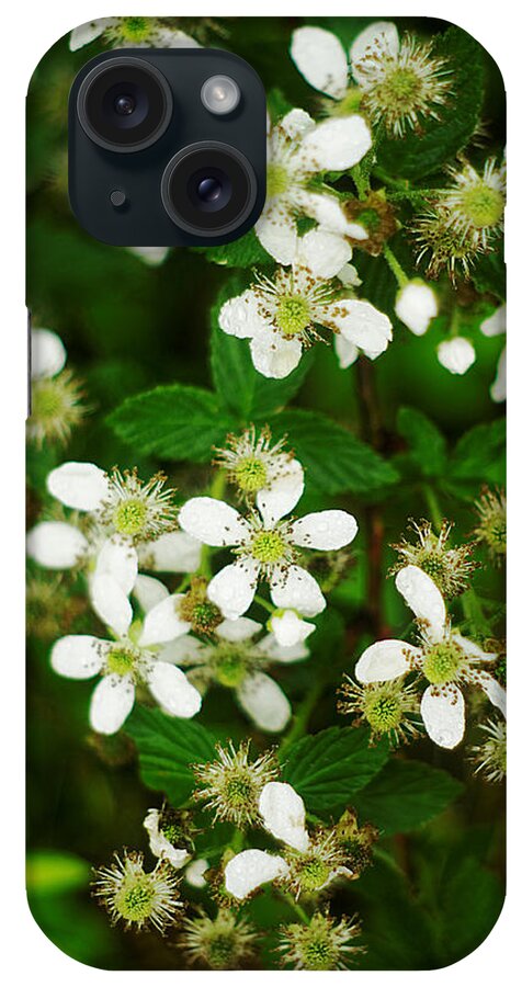 Blackberry Blossoms iPhone Case featuring the photograph Blackberry Blossoms by Suzanne Powers