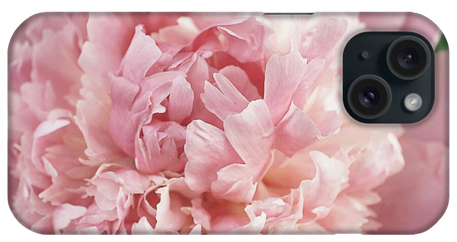 Peony iPhone Case featuring the photograph Blessed Peony by Gwen Gibson