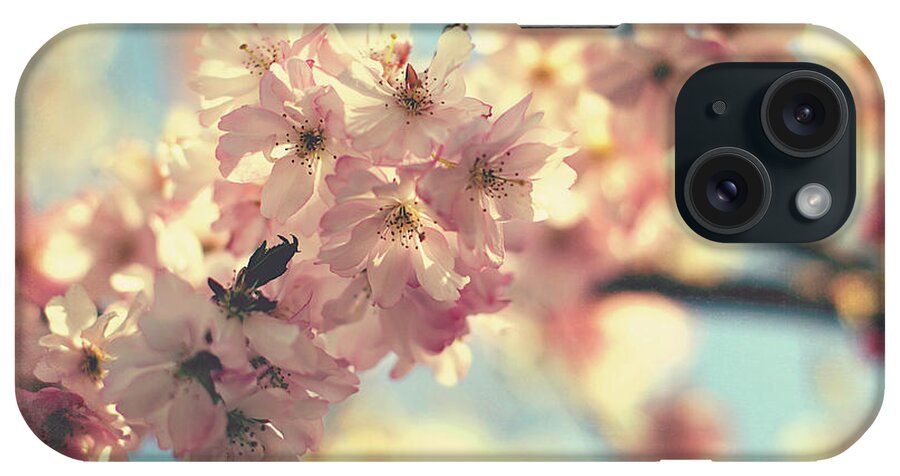 Flowers iPhone Case featuring the photograph Bliss by Sylvia Cook