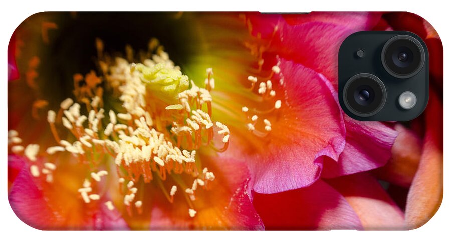 Flower iPhone Case featuring the photograph Blooming Pink Explosions by Richard Henne