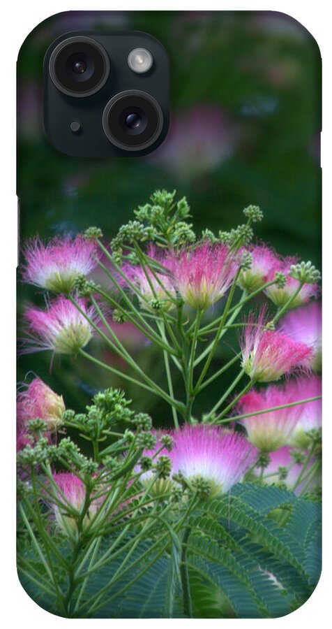Tree iPhone Case featuring the photograph Blooms Of The Mimosa Tree by Jeanette C Landstrom