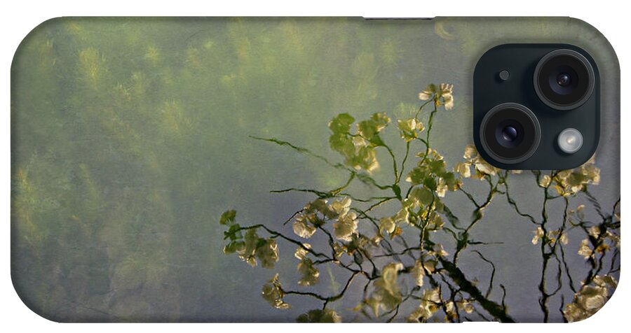 Blossom Reflection iPhone Case featuring the photograph Blossom Reflection by Marilyn Wilson