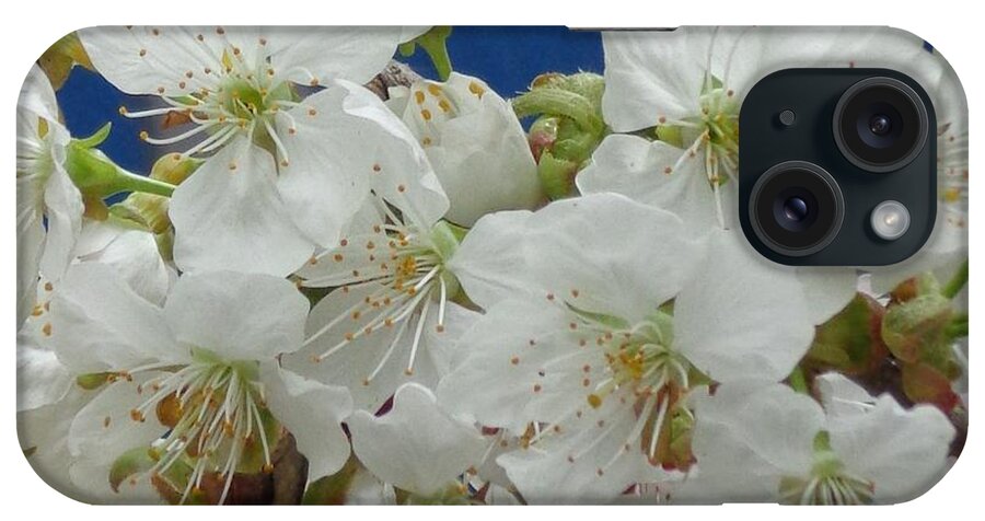 Flower iPhone Case featuring the photograph Blossoming by Christina Verdgeline