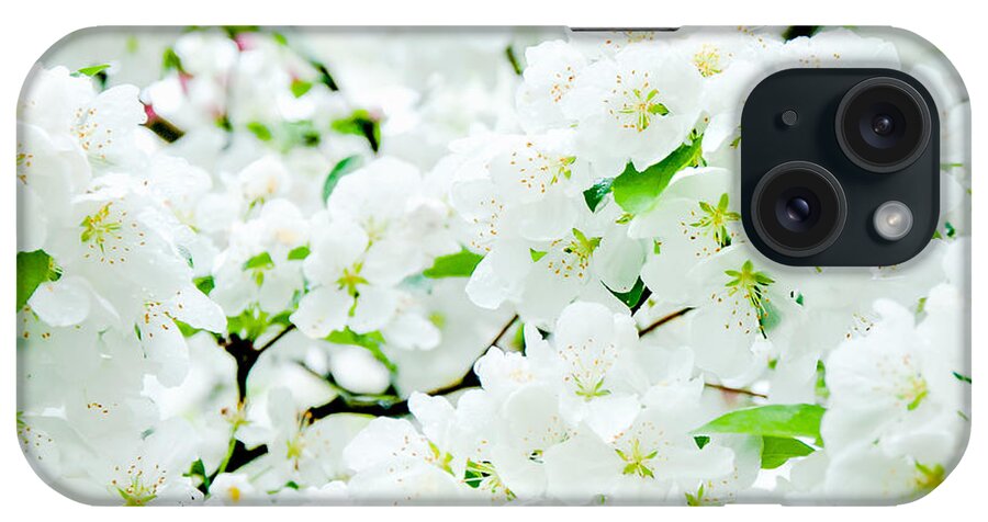 Blossoms iPhone Case featuring the photograph Blossoms Squared by Greg Fortier