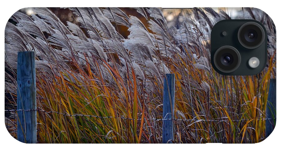 Fence iPhone Case featuring the photograph Blowing In The Wind by Cathy Shiflett