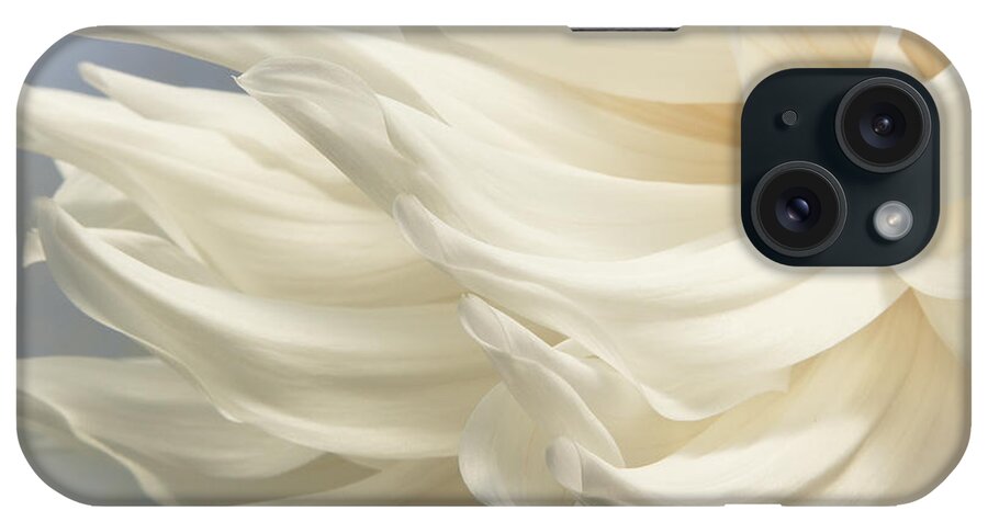 Dahlias iPhone Case featuring the photograph Blowing in the WInd by Marilyn Cornwell