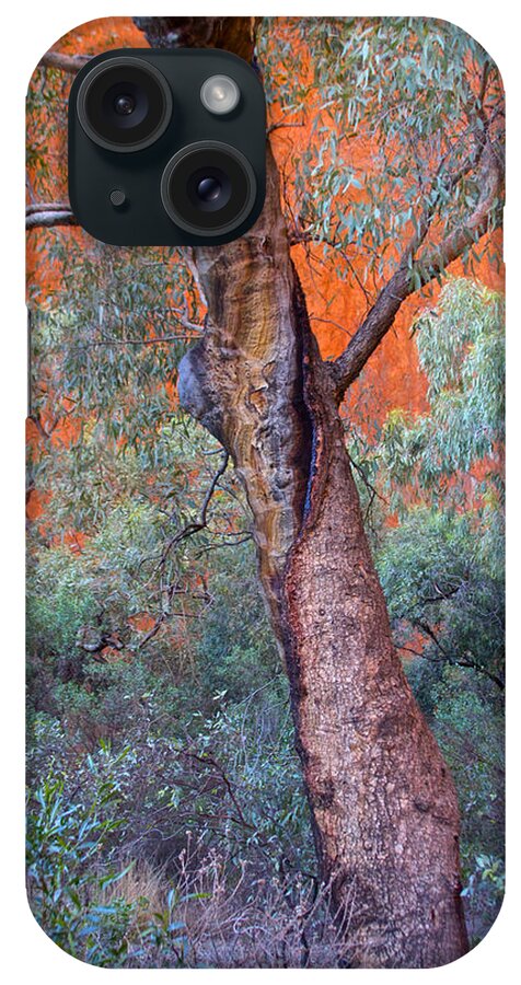 Blue Gum iPhone Case featuring the photograph Blue Gum Tree by Venetia Featherstone-Witty