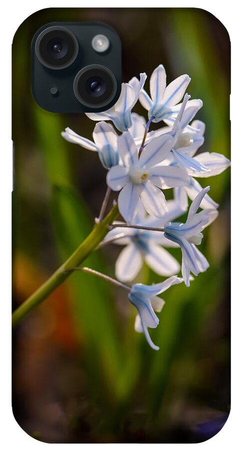 Flower iPhone Case featuring the photograph Blue and White by Robert Mitchell