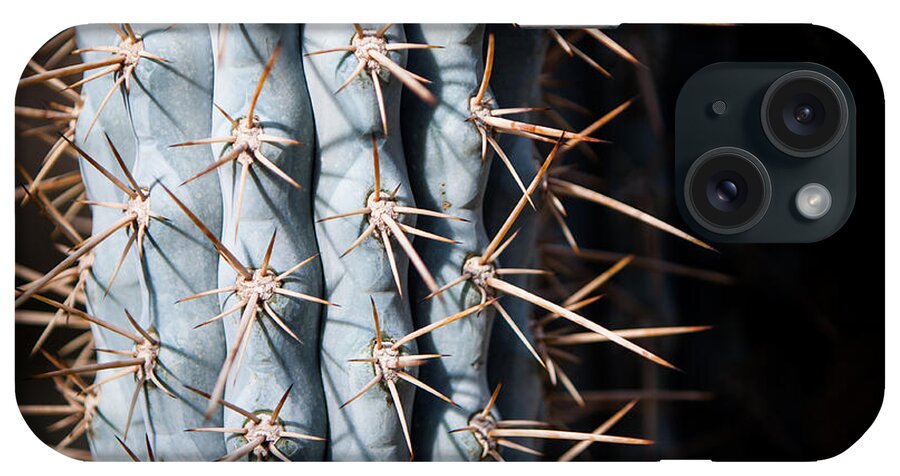 Botanical iPhone Case featuring the photograph Blue Cactus by John Wadleigh