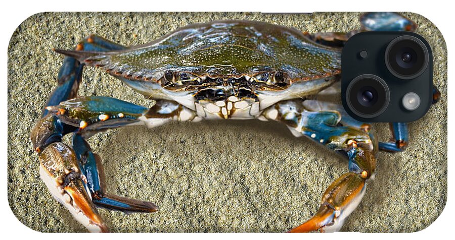 Blue Crab iPhone Case featuring the photograph Blue Crab Confrontation by Sandi OReilly