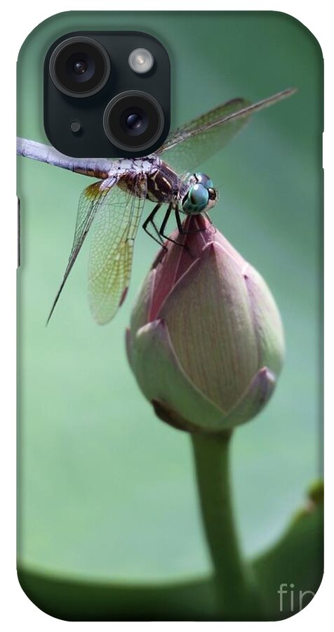 Dragonfly iPhone Case featuring the photograph Blue Dragonflies Love Lotus Buds by Sabrina L Ryan