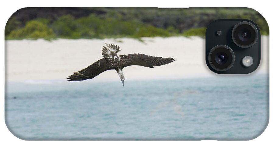 Galapagos iPhone Case featuring the photograph Blue-footed Booby Diving by John Shaw
