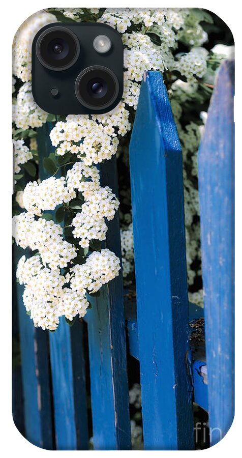 Fence iPhone Case featuring the photograph Blue garden fence with white flowers by Elena Elisseeva