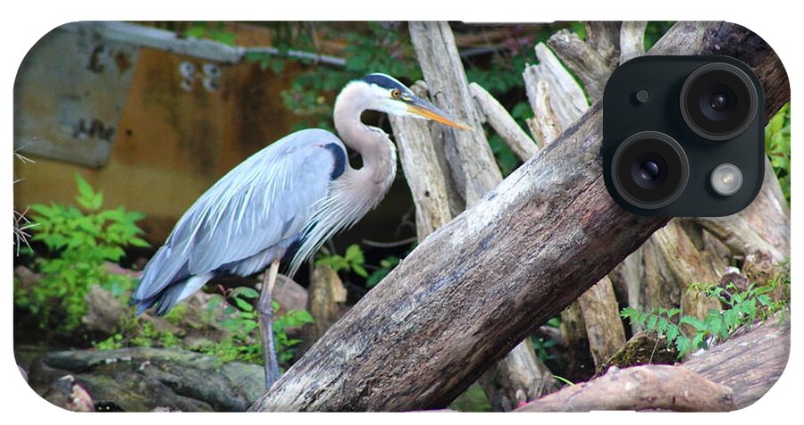Heron iPhone Case featuring the photograph Blue Heron by Andre Turner
