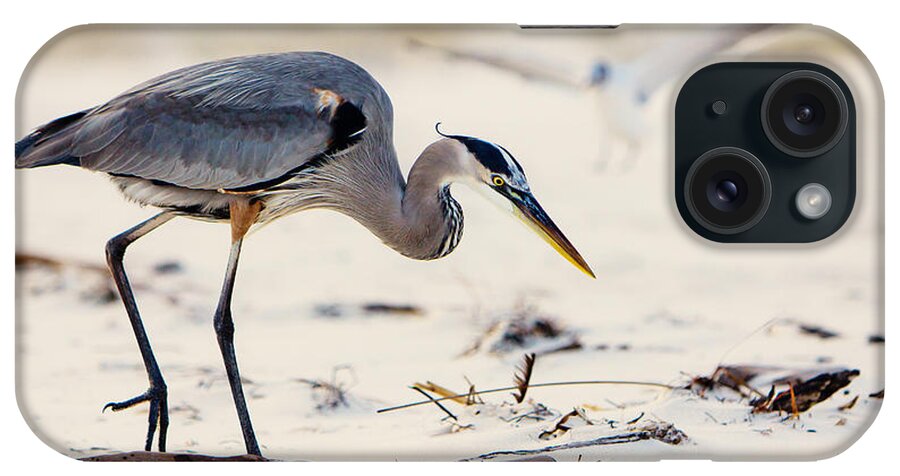 Bird iPhone Case featuring the photograph Blue Heron at the Beach by Joan McCool