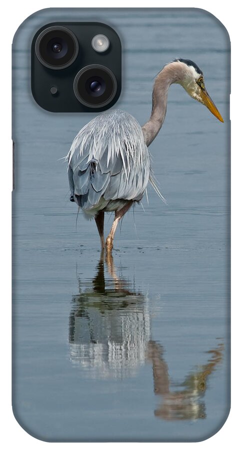Animal iPhone Case featuring the photograph Blue Heron Hunting in Puget Sound by Jeff Goulden
