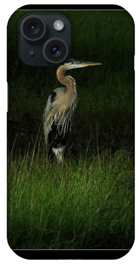 Nature iPhone Case featuring the photograph Blue Heron in Grass by Deborah Smith