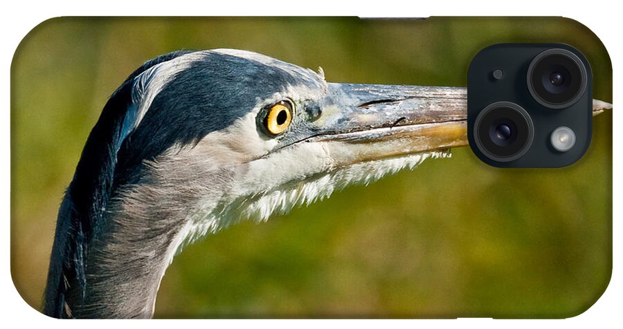 Adult iPhone Case featuring the photograph Blue Heron by Jeff Goulden