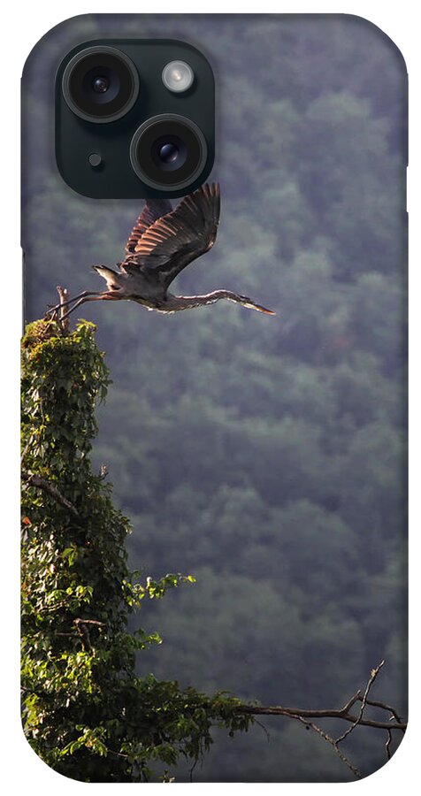 Blue Heron iPhone Case featuring the photograph Blue Heron Leaving Snag by Michael Dougherty