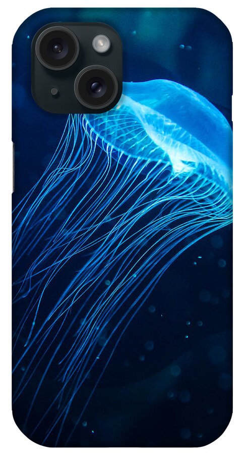 Jellyfish iPhone Case featuring the photograph Blue Jelly by Jennifer Kano