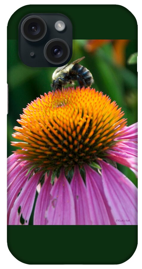 Bee iPhone Case featuring the photograph Blue Striped Bee by Kristin Hatt