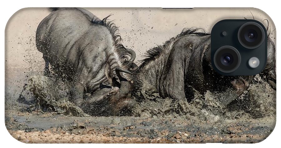 Africa iPhone Case featuring the photograph Blue Wildebeest Males Fighting by Tony Camacho/science Photo Library