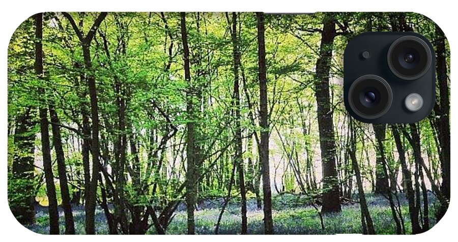 Nature iPhone Case featuring the photograph Bluebells In Pittswood by Nic Squirrell