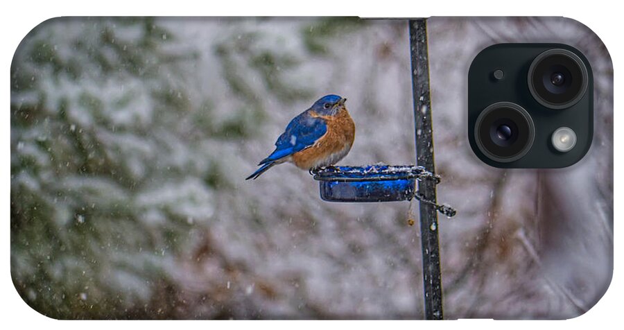 Bird iPhone Case featuring the photograph Bluebird in Snow by David Kay