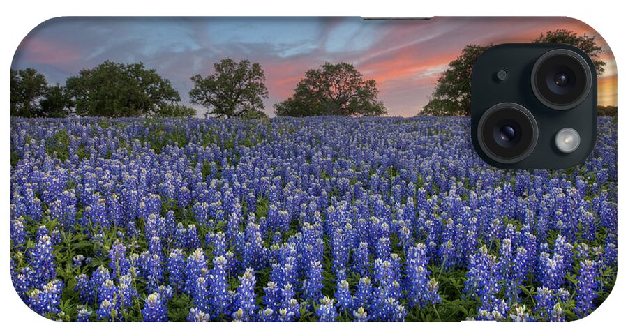 Bluebonnet Images iPhone Case featuring the photograph Bluebonnet Field of Glory San Saba County Texas by Rob Greebon