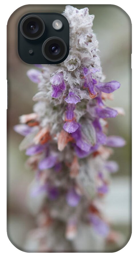 Flowers iPhone Case featuring the photograph Blumen by Miguel Winterpacht