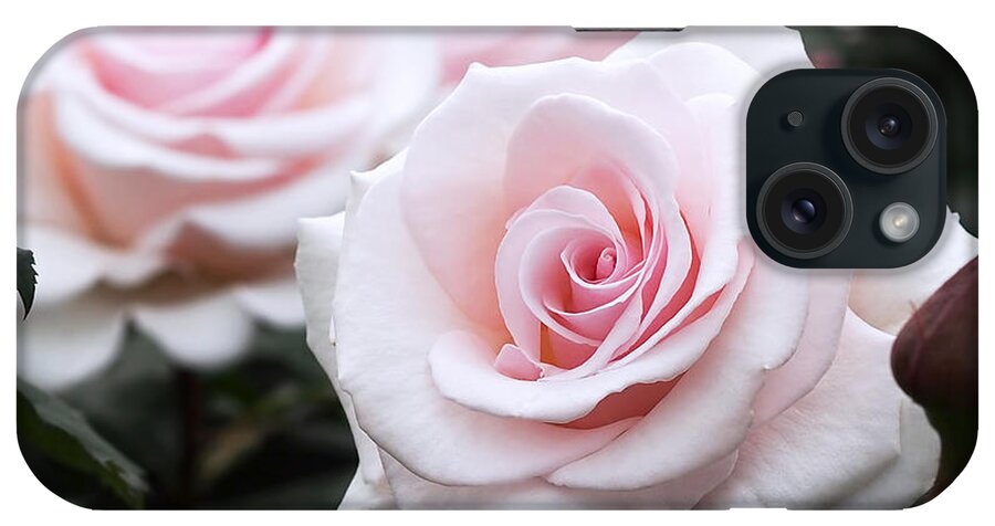 Roses iPhone Case featuring the photograph Blush Pink Roses by Rona Black
