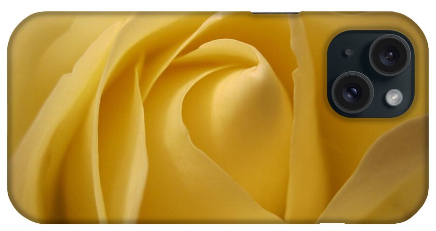 Floral iPhone Case featuring the photograph Blushing Cream Rose by Tara Shalton