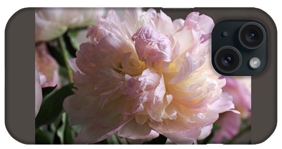 Peony iPhone Case featuring the photograph Blushing Peony by Rona Black
