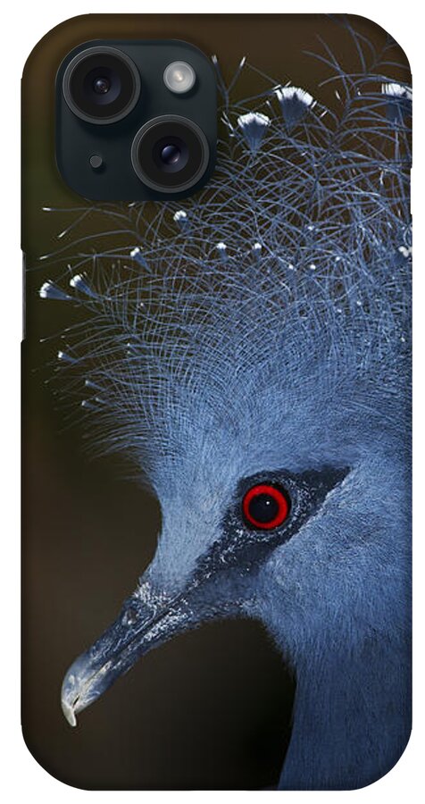Festblues iPhone Case featuring the photograph BLUtiFUL.. by Nina Stavlund