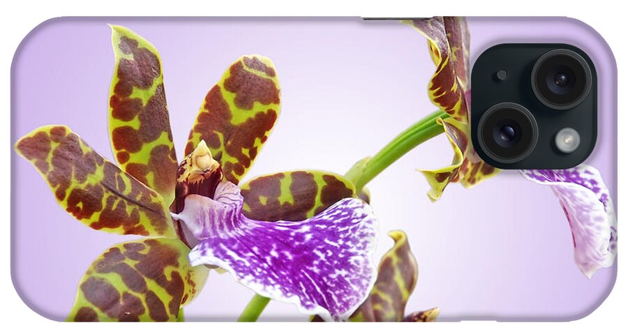 Orchid iPhone Case featuring the photograph Bold and Beautiful - Zygopetalum Orchid by Gill Billington