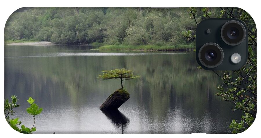Tree iPhone Case featuring the photograph Balancing Act by Kate Gibson Oswald