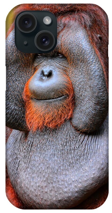 Orangutan iPhone Case featuring the photograph Bornean Orangutan IV by Lourry Legarde