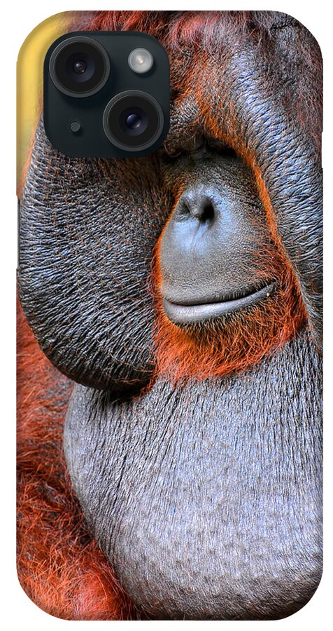 Orangutan iPhone Case featuring the photograph Bornean Orangutan VI by Lourry Legarde