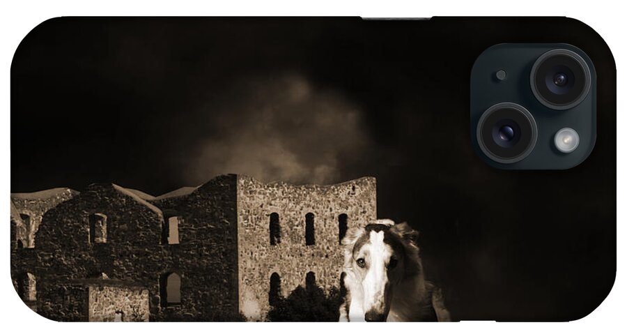 Borzoi iPhone Case featuring the photograph Borzoi Wolf Hound Hunting At Night by Christian Lagereek