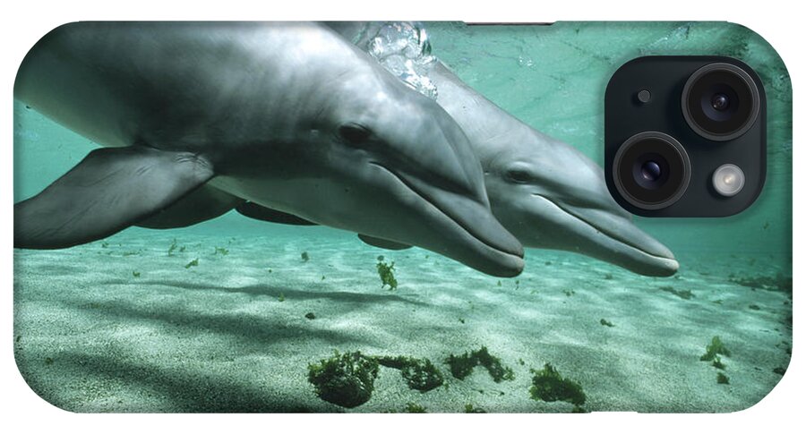 Feb0514 iPhone Case featuring the photograph Bottlenose Dolphin Pair Underwater by Flip Nicklin